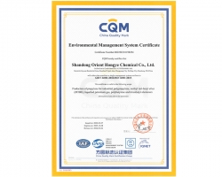 东方宏业化工--环境管理体系英文版证书